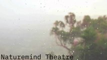 Sleeping with a light rain can be so relaxing — rain video | instant sleep, meditation, yoga & more