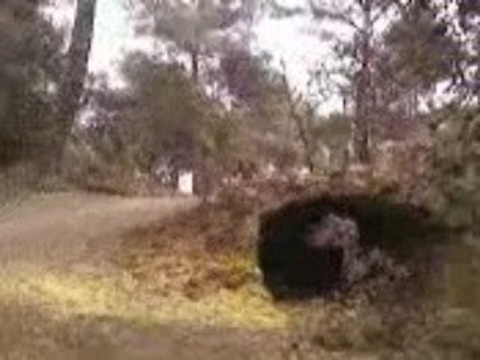 FREERIDE