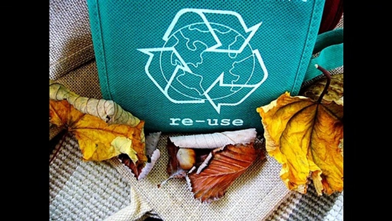 How To Convert Food Waste and Biomass to Clean Energy