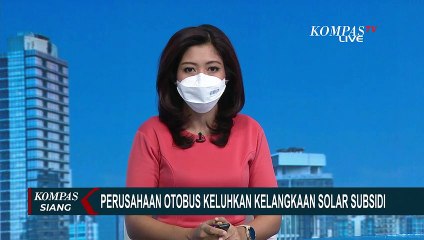 Terdampak Langkanya Stok BBM Solar, Biaya Operasional Perusahaan Otobus Naik Hingga 150 Persen