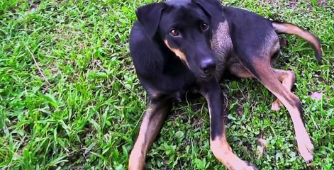 Inside Pixar S01 E12