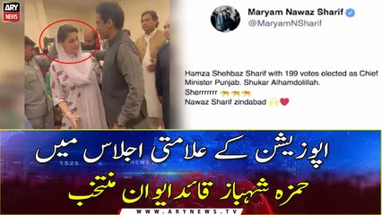 Hamza Shehbaz ‘elected Punjab CM’ in ‘symbolic’ session