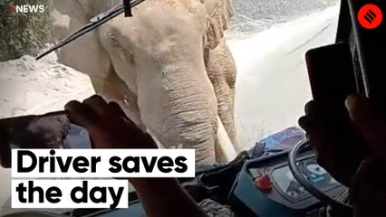 Wild elephant charges towards a bus in Kerala, driver maintains cool