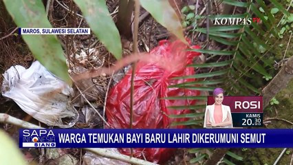 Warga Maros Dihebohkan Temuan Bayi Perempuan di Rumah Kosong yang Diduga Baru Dilahirkan!