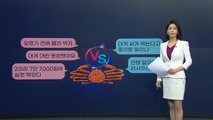 [뉴스큐] 러시아산 대게 값이 급락한 이유와 엇갈린 '댓글' / YTN