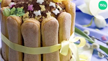 Charlotte au chocolat