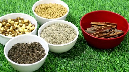 रामबाण औषधि  डायबिटीज़ को ख़त्म करने की डायबिटीज़ control powder _ शुगर का घरेलू इलाज