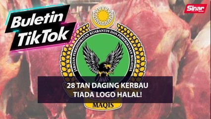 Descargar video: 28 tan daging kerbau tiada logo halal!