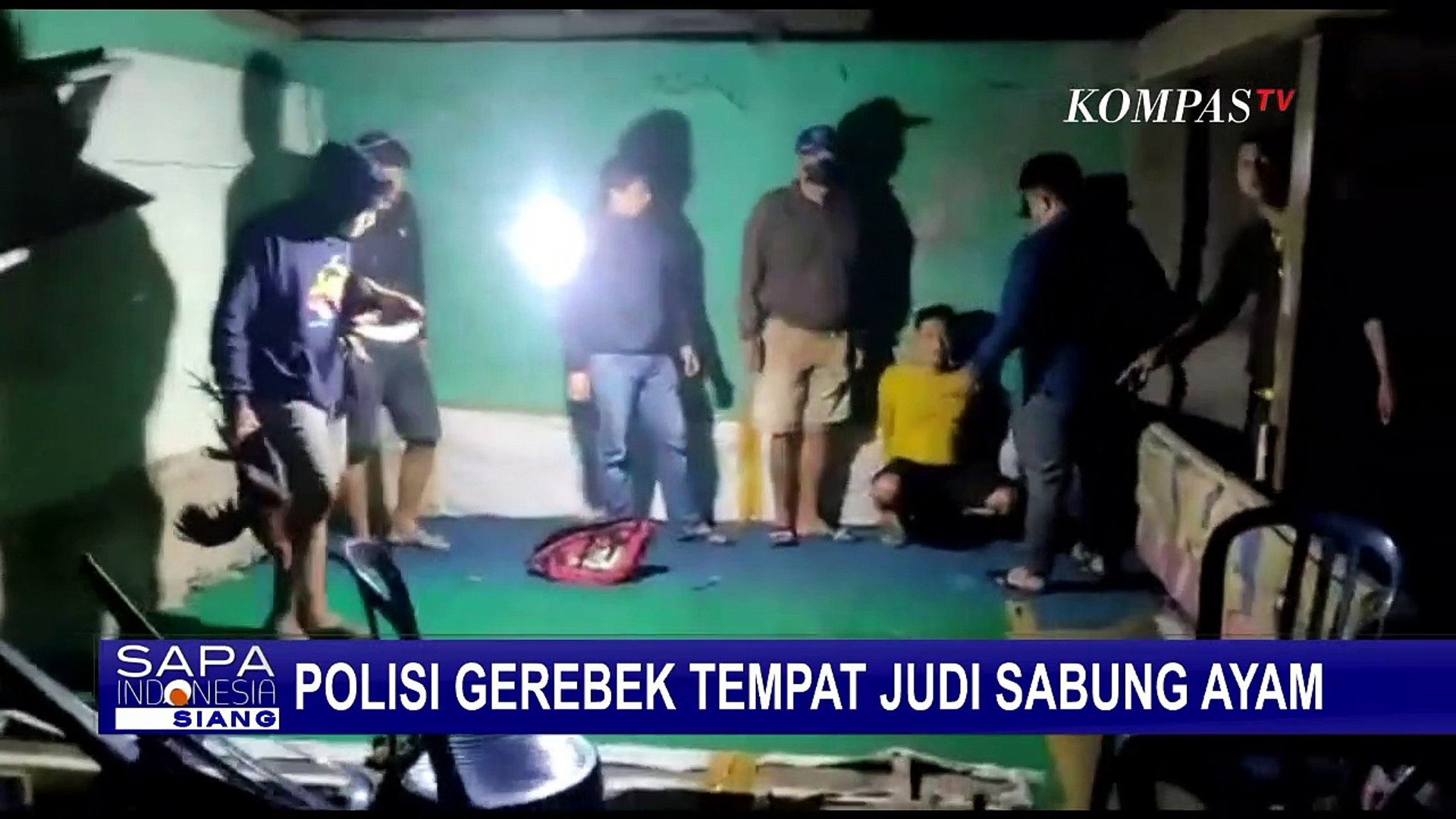 Arena Judi Sabung Ayam di Kepahiang Bengkulu Digerebek Polisi, Para Penjudi  Tak Berkutik! - Video Dailymotion
