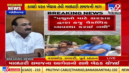 Gujarat Govt. postpones stray cattle control bill amid fierce agitation by maldharis_ TV9News