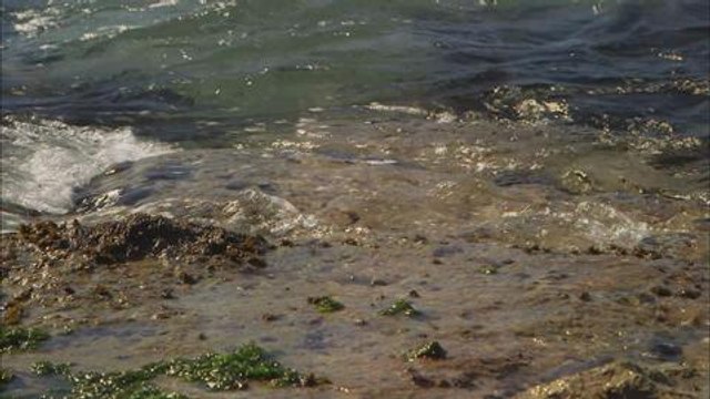 Homos la haine extrait Laurent Kerusore