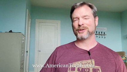 The Rules of Sabbath in Matthew 12:1-14