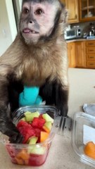 Breakfast on a Tuesday went a little like this