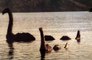 Des chasseurs du monstre du Loch Ness affirment avoir repéré la créature légendaire