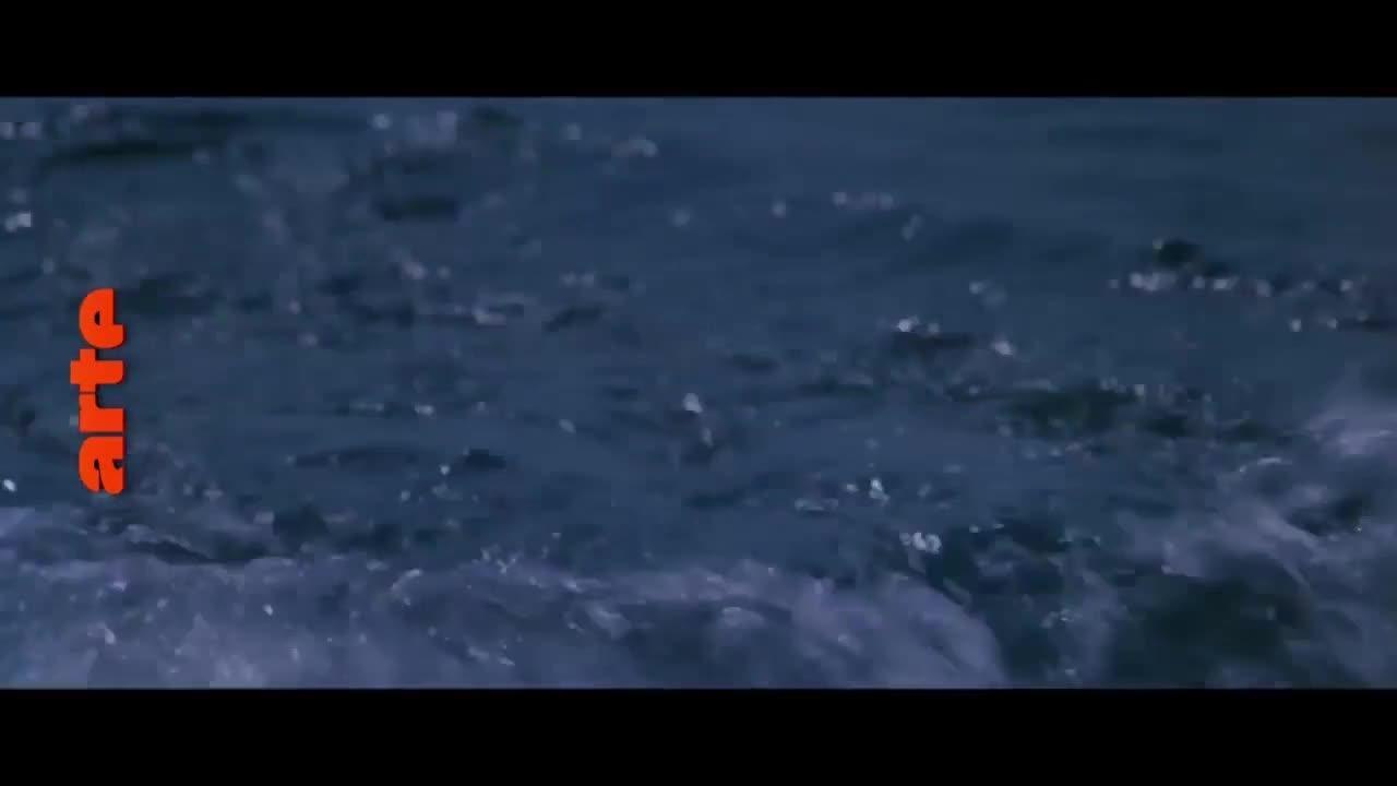 Les dents de la mer