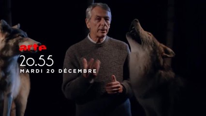 Loups solitaires en toute liberté