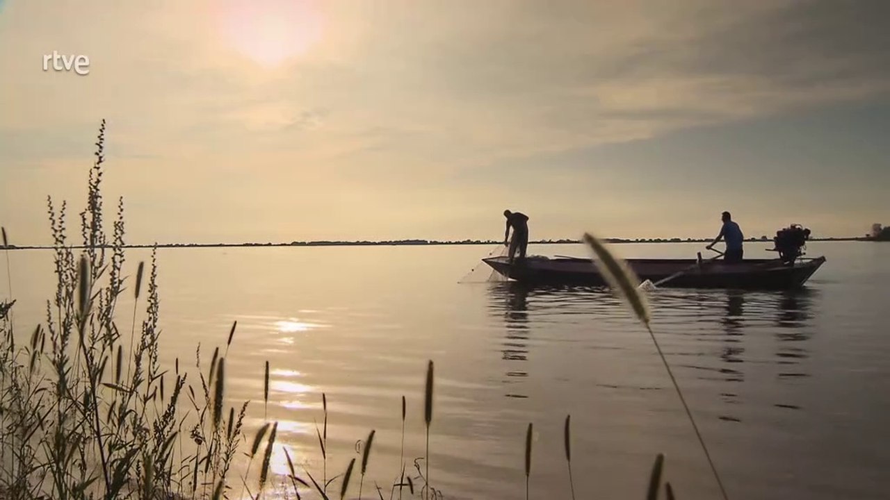 Amur, el Amazonas de Asia 2/3: El dragón negro [Documental HD]