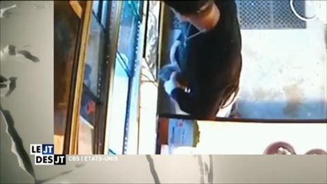 Insolite : il vole un python et le glisse dans.... son pantalon !