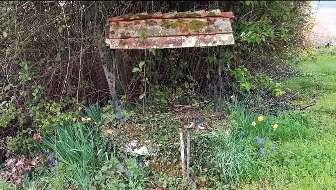 2022-04-VASSELAY/ST-LAURENT/ST-PALAIS