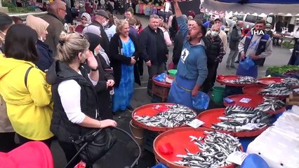 Hamsi ve istavrit Karadeniz’deki mayınlara kafa tutuyor