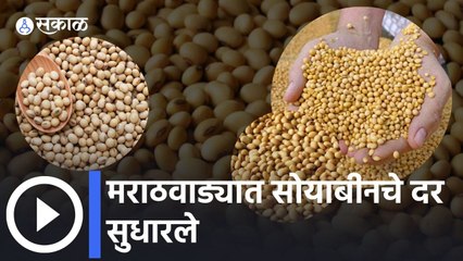 मराठवाड्यात आजचे Soybean Rate किती? | Agrowon Soyabean Rate