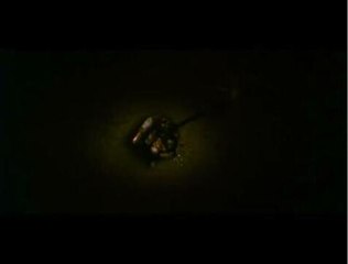 Les ruines (bande-annonce)