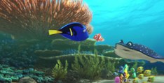 Le Monde de Dory : voici le tout premier teaser du prochain long métrage Disney-Pixar (VO)