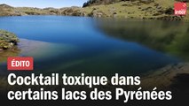 Cocktail toxique dans certains lacs des Pyrénées