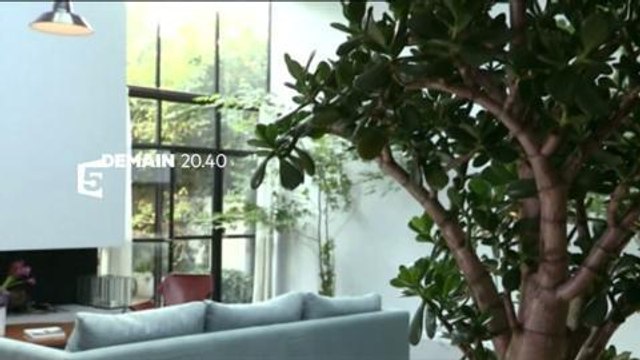 La maison France 5 (France 5) 19 novembre 2014