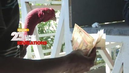 Révélations (Numéro 23) 10 novembre