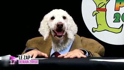 Le Zap (D17) 7 novembre