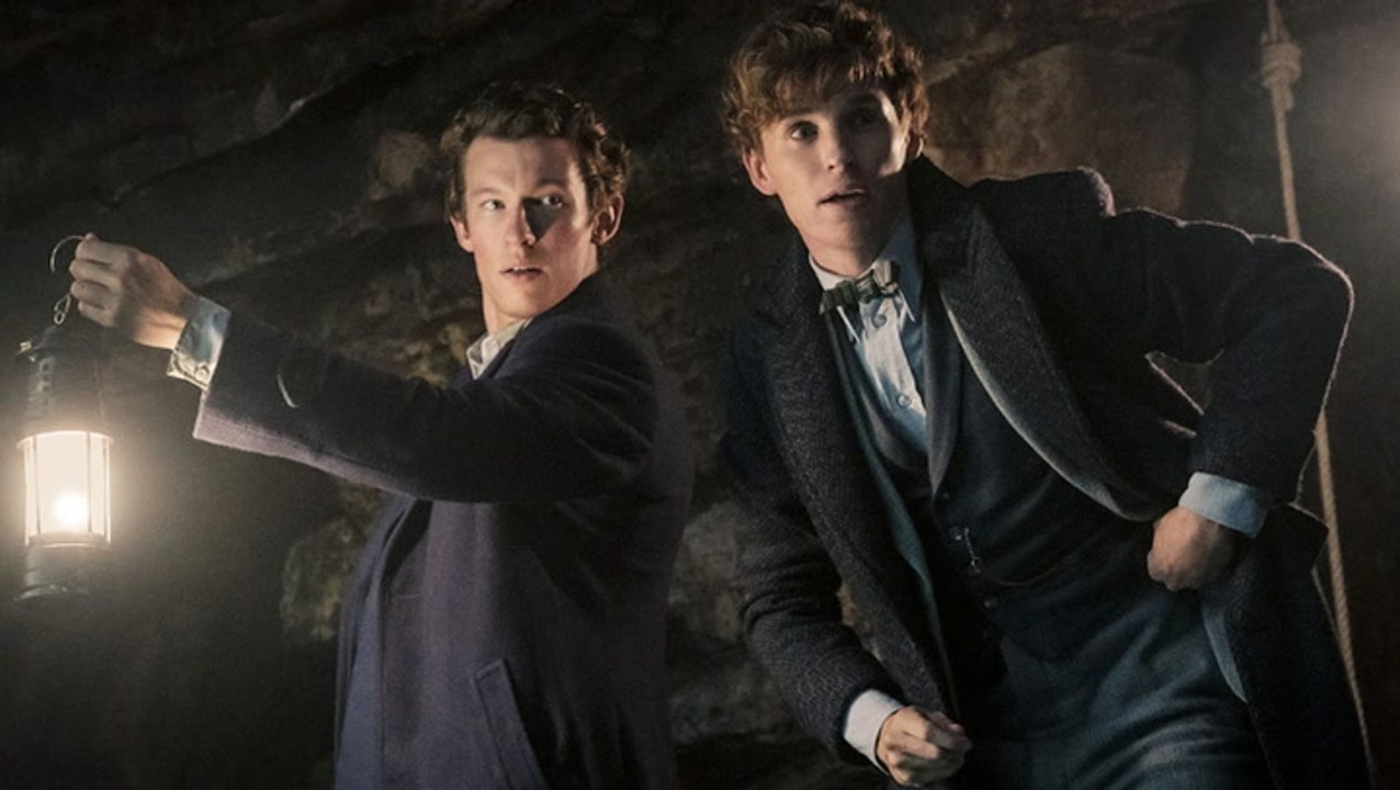 Eddie Redmayne On Why His Fantastic Beasts Role Is Similar To Brad Pitt S In Ocean S Movies Thr News Video Dailymotion