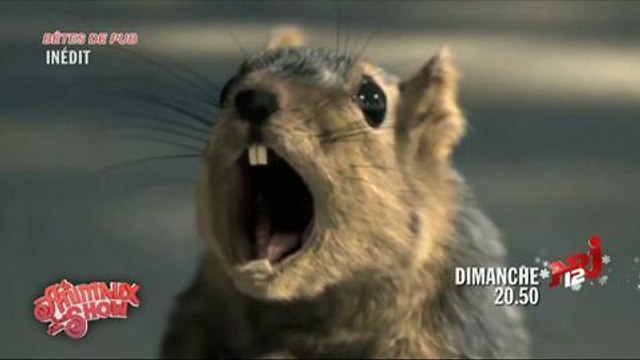 Les animaux font leur show NRJ 12 DImanche