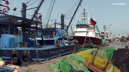 Las minas ucranianas a la deriva paralizan gran parte de la flota pesquera turca del mar Negro