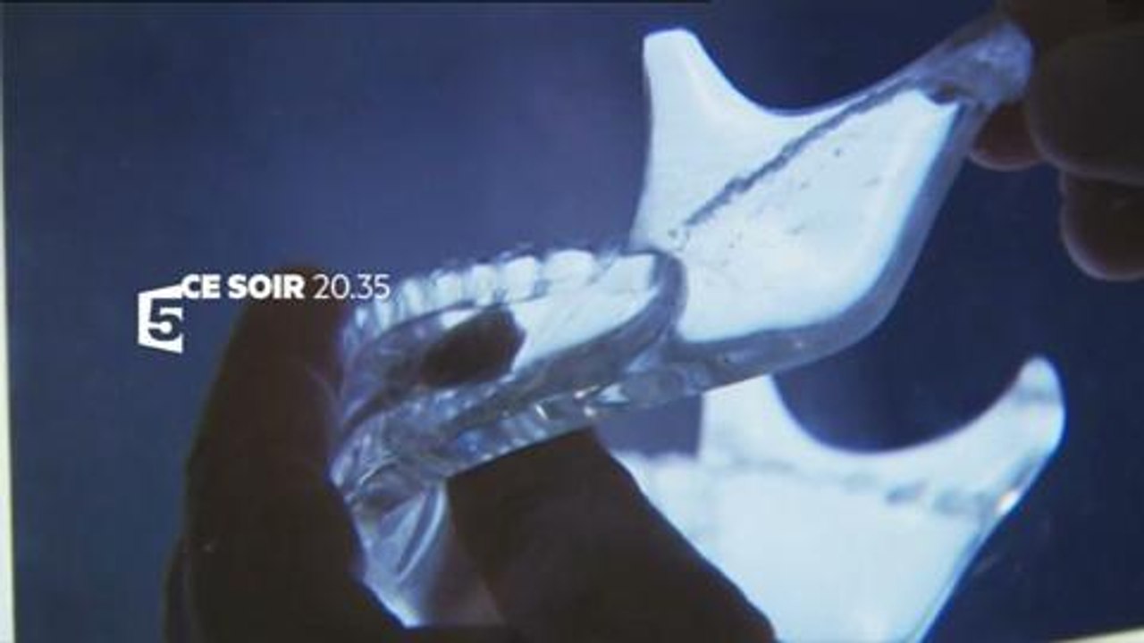 L'énigme des crânes de cristal (France 5) 25 juillet