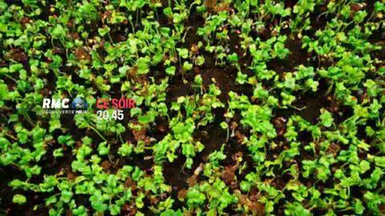 Les mystères de l'univers (RMC Découverte) 28 août 2014