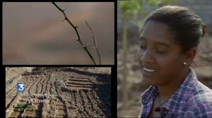 Faut pas rêver (France 3) 24 avril