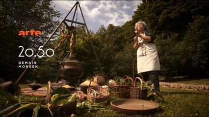 Les Gaulois au-delà du mythe (Arte) 24 janvier
