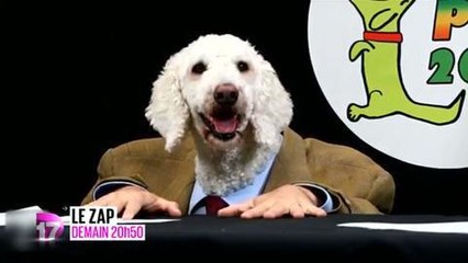 Le Zap (D17) 5 décembre