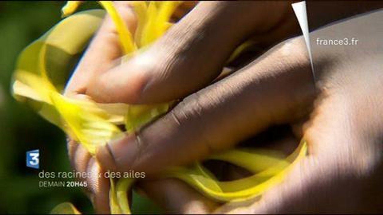 Des racines et des ailes (France 3) 6 août 2014