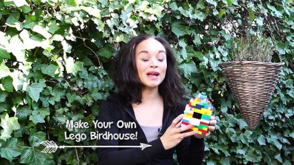 Another Amazing Activity for Kids! A Lego Birdhouse!