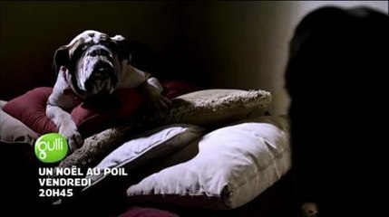 Un Noël au poil (Gulli) 28 novembre