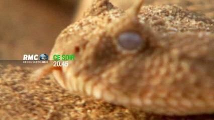 Man vs Wild (RMC Découverte) 2 juin 2014