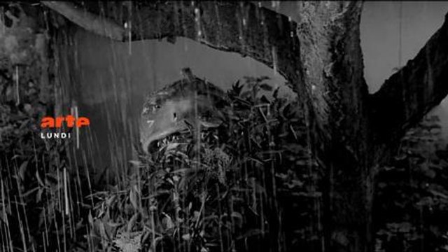 Soirée Arte (19 août)