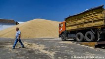 Fighting lands on Ukraine's wheat fields