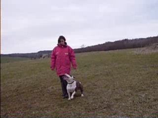 9 mars 2008 chouchou suite sans laisse 1