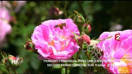 Le jardin préféré des français (France 2)