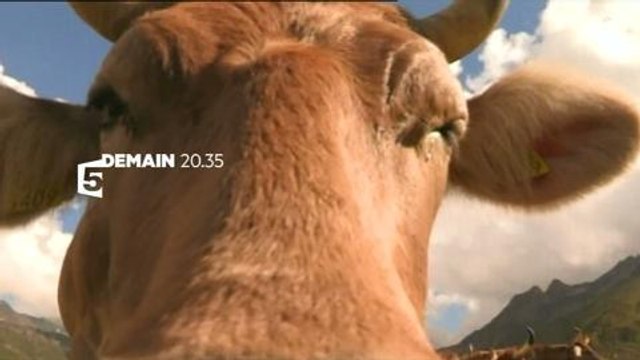 Echappees belles (France 5) 19 octobre