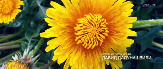 Здравствуйте, вам пора! - 3 серия