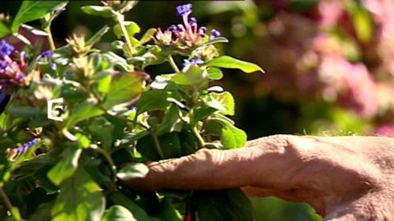 Silence ça pousse (France 5) 17 juillet